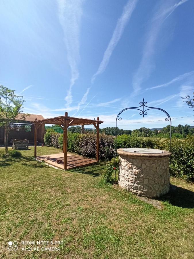 Casale Viridi - Nel Fresco Delle Colline Umbre Narni Exterior foto