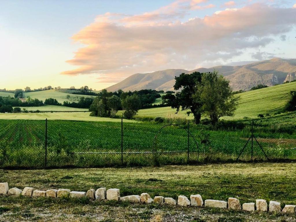 Casale Viridi - Nel Fresco Delle Colline Umbre Narni Exterior foto