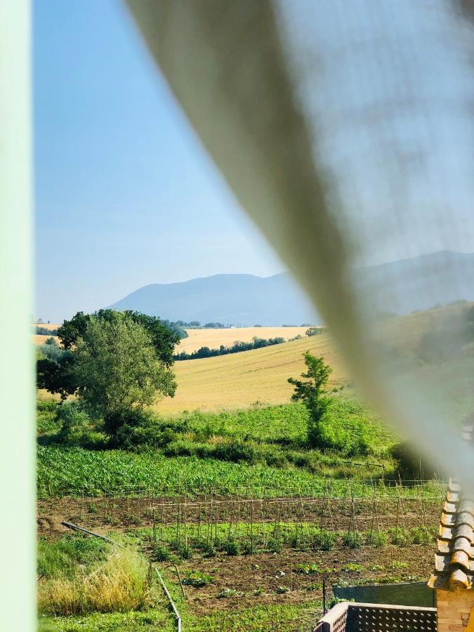 Casale Viridi - Nel Fresco Delle Colline Umbre Narni Exterior foto